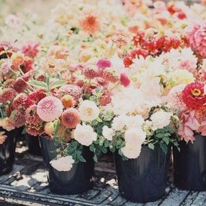 Meet your Posher, Paige